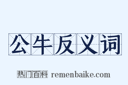 公牛反义词是什么意思的图片
